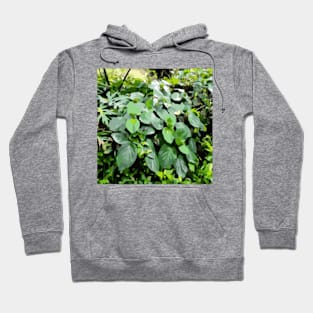 Green bloom Hoodie